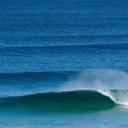 Base Surf *